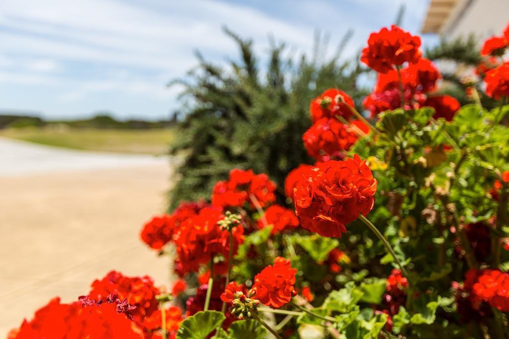 Cottages For Couples Port Fairy Extérieur photo